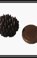 pine cone