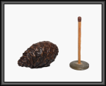 pine cone large